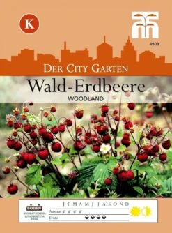 Wald-Erdbeere Woodland | Erdbeersamen Von Thompson &amp; Morgan