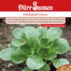 Feldsalat Favor | Feldsalatsamen Von Dürr Samen 1 Feldsalat Favor | Feldsalatsamen Von Dürr Samen -Samenhaus Geschäft 2510 Feldsalat Favor 1264 ds 0