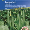 Salatgurke Dominica F1 | Salatgurkensamen Von Kiepenkerl -Samenhaus Geschäft 3444 Salatgurke Dominica F1