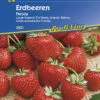 Erdbeere Fresca | Erdbeersamen Von Kiepenkerl -Samenhaus Geschäft 3495 Erdbeere Fresca