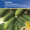 Einlegegurke Excelsior F1 | Einlegegurkensamen Von Kiepenkerl -Samenhaus Geschäft 3508 Einlegegurke Excelsior F1