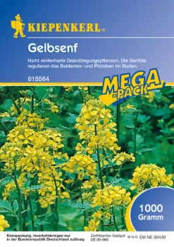 Gelbsenf (1 Kg) | Gründünger Von Kiepenkerl