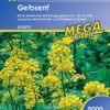 Gelbsenf (2 Kg) | Gründünger Von Kiepenkerl
