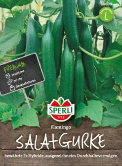 Gurke Flamingo F1-Hybride, Schlangengurke | Gurkensamen Von Sperli