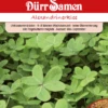 Gründünger Alexandrinerklee 500 G | Gründünger Von Dürr Samen -Samenhaus Geschäft 523247 Gruenduenger Alexandrinerklee 500 g fuer 100m