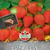 Sperli-Samen Erdbeere Elan