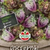 Rosenkohl Flower Sprouts Autumn Star F1 | Rosenkohlsamen Von Sperli 2 Rosenkohl Flower Sprouts Autumn Star F1 | Rosenkohlsamen Von Sperli -Samenhaus Geschäft 528155 Rosenkohl Flower Sprout Autumn Star 81180 0