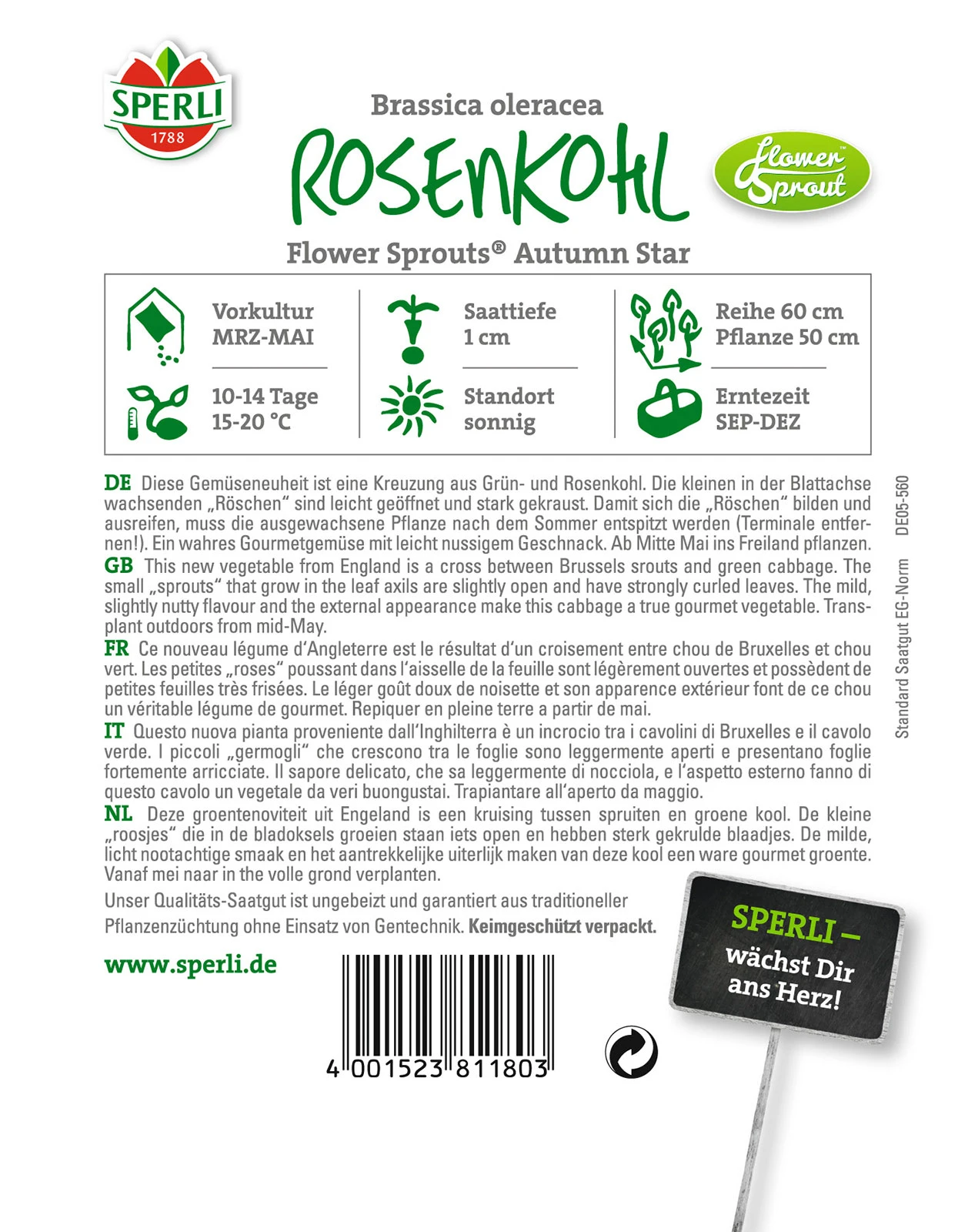 Rosenkohl Flower Sprouts Autumn Star F1 | Rosenkohlsamen Von Sperli 4 Rosenkohl Flower Sprouts Autumn Star F1 | Rosenkohlsamen Von Sperli – Bild 2