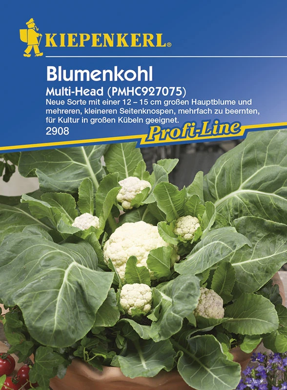 Blumenkohl Multi - Head F1 | Blumenkohlsamen Von Kiepenkerl 3 Blumenkohl Multi - Head F1 | Blumenkohlsamen Von Kiepenkerl