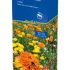 Blütenteppich (40 G) | Blumensamenmischung Von Kiepenkerl [MHD 12/2023] -Samenhaus Geschäft 528696 Bluetenteppich 40 g 4935 0