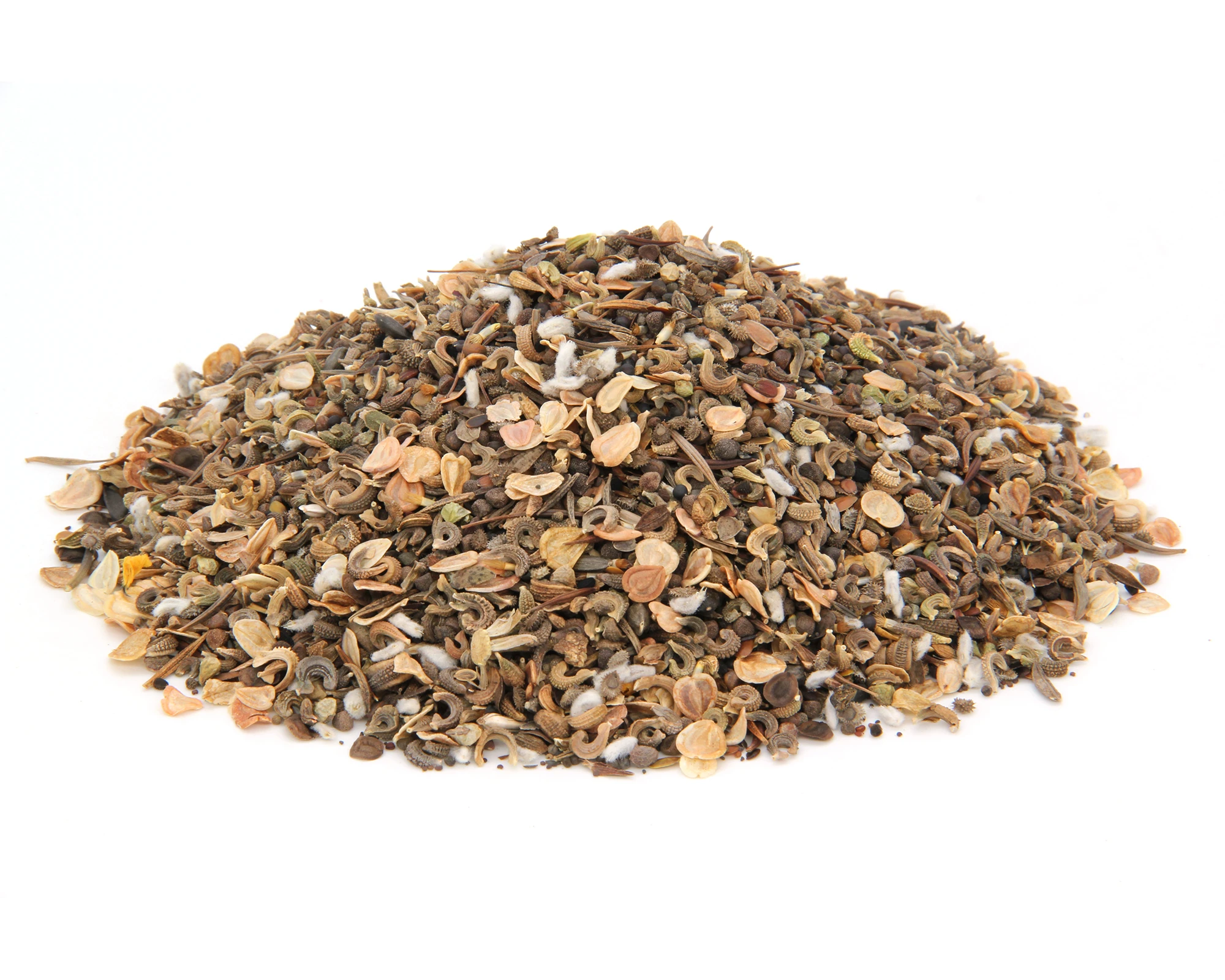 Blütenreich (100 G) | Blumenwiese Von Saatgut-Manufaktur 5 Blütenreich (100 G) | Blumenwiese Von Saatgut-Manufaktur – Bild 3