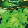 Kopfsalat Dynamite | Kopfsalatsamen Von Quedlinburger -Samenhaus Geschäft 531924 Kopfsalat Dynamite von Quedlinburger Saatgu