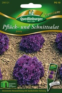 Pflücksalat Jenny | Pflücksalatsamen Von Quedlinburger