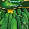 Einlegegurke Hokus | Einlegegurkensamen Von Quedlinburger -Samenhaus Geschäft 531942 Einlegegurken Hokus von Quedlinburger Saatg
