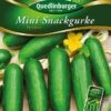Mini-Snackgurken Picolino | Minigurkensamen Von Quedlinburger -Samenhaus Geschäft 531946 Mini Snackgurken Picolino von Quedlinburger
