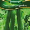 Gewächshausgurke Bella | Gurkensamen Von Quedlinburger -Samenhaus Geschäft 531950 Gewaechshausgurken Bella von Quedlinburger