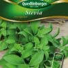 Stevia Süßkraut | Steviasamen Von Quedlinburger 2 Stevia Süßkraut | Steviasamen Von Quedlinburger -Samenhaus Geschäft 532042 Stevia Suesskraut von Quedlinburger Saatgut