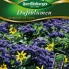 Duftblumen Schokolade Mit Sahne | Blumensamenmischung Von Quedlinburger 2 Duftblumen Schokolade Mit Sahne | Blumensamenmischung Von Quedlinburger -Samenhaus Geschäft 532106 Duftblumen Schokolade mit Sahn von Quedlinb
