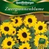 Zwergsonnenblumen Ballad | Sonnenblumensamen Von Quedlinburger -Samenhaus Geschäft 532174 Zwergsonnenblumen Ballad von Quedlinburger