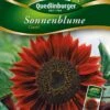 Sonnenblumen Claret | Sonnenblumensamen Von Quedlinburger -Samenhaus Geschäft 532177 Sonnenblumen Claret von Quedlinburger Saatg