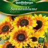 Sonnenblumen Ring Of Fire | Sonnenblumensamen Von Quedlinburger -Samenhaus Geschäft 532178 Sonnenblumen Ring of Fire von Quedlinburger
