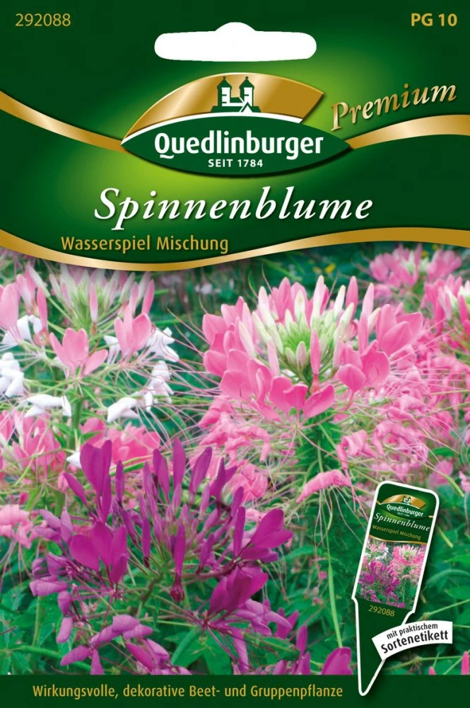 Spinnenblume Wasserspiel Mischung | Spinnenblumensamen Von Quedlinburger 3 Spinnenblume Wasserspiel Mischung | Spinnenblumensamen Von Quedlinburger