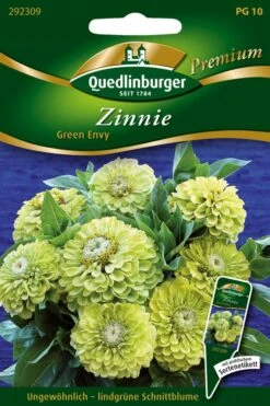 Zinnien Green Envy | Zinniensamen Von Quedlinburger