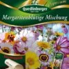 Margeritenblütige Mischung | Margeritensamen Von Quedlinburger -Samenhaus Geschäft 532269 Margeritenbluetige Mischung von Quedlinburg