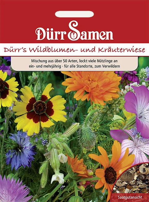 Wildblumen- Und Kräuterwiese Mit Gräsern 125m² | Blumenwiese Von Dürr Samen 3 Wildblumen- Und Kräuterwiese Mit Gräsern 125m² | Blumenwiese Von Dürr Samen