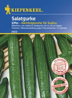 Salatgurke Eiffel F1 | Salatgurkensamen Von Kiepenkerl -Samenhaus Geschäft 532450 Salatgurke Eiffel F1