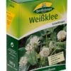 Weißklee 500 G | Gründünger Von Quedlinburger 1 Weißklee 500 G | Gründünger Von Quedlinburger -Samenhaus Geschäft 532625 Weissklee 500 g