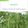 Markerbse Maxigolt | BIO Markerbsensamen Von Sativa Rheinau -Samenhaus Geschäft 534313 BIO Markerbse Maxigolt er13 sr 0