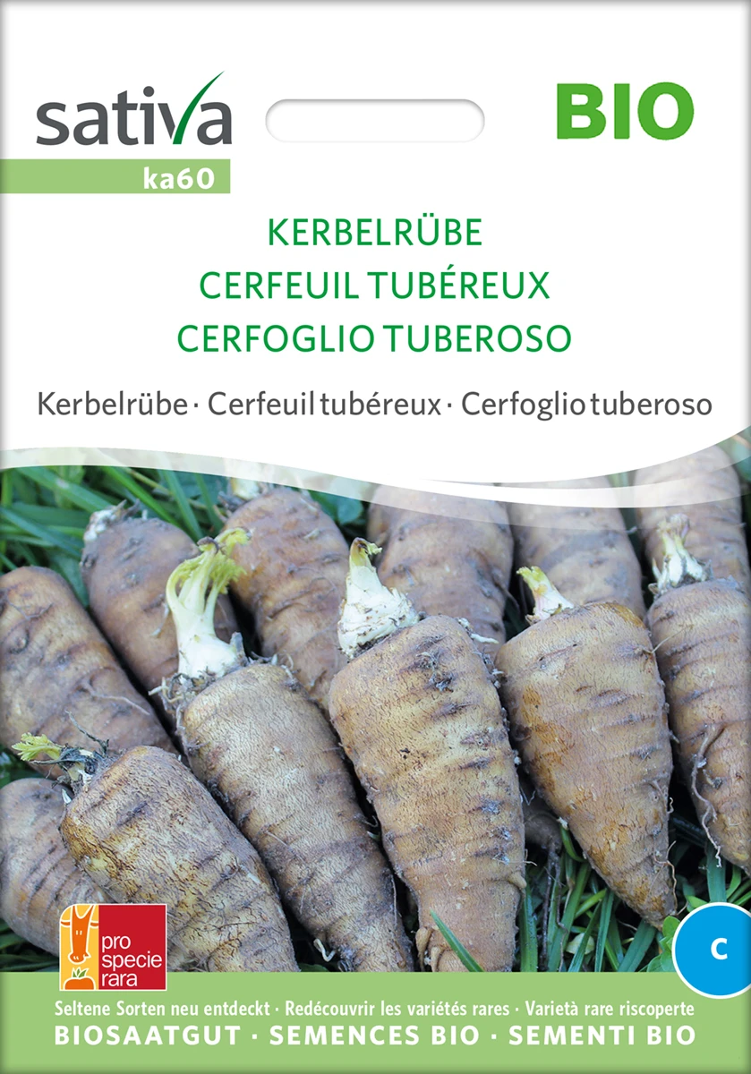 Kerbelrübe Kerbelrübe | BIO Rübensamen Von Sativa Rheinau 4 Kerbelrübe Kerbelrübe | BIO Rübensamen Von Sativa Rheinau – Bild 2