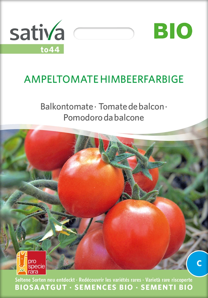 Balkontomate Ampeltomate Himbeerfarbige | BIO Buschtomatensamen Von Sativa Rheinau 4 Balkontomate Ampeltomate Himbeerfarbige | BIO Buschtomatensamen Von Sativa Rheinau – Bild 2