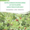 Spargelerbse Rotblühende Spargelerbse | BIO Erbsensamen Von Sativa Rheinau -Samenhaus Geschäft 534629 BIO Spargelerbse Rotbluehende Spargelerbse er70 sr 0