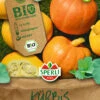 Kürbissamen - Bio-Kürbis Amoro Von Sperli-Samen -Samenhaus Geschäft 534793 Bio Kuerbis Amoro 81387 0