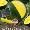 Obstsamen - Wassermelone Janusik Von Sperli-Samen -Samenhaus Geschäft 534794 Wassermelone Janusik 81547 0