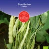 Buschbohne Capitano | BIO Buschbohnensamen Von De Bolster 1 Buschbohne Capitano | BIO Buschbohnensamen Von De Bolster -Samenhaus Geschäft 534878 BIO Buschbohne Capitano 11215 db 0