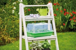 Gewächshaus M | Zimmergewächshaus Von Romberg -Samenhaus Geschäft 535231 Gewaechshaus M 10094102 1