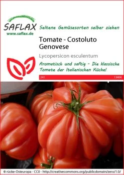 Tomate Costoluto Genovese | Tomatensamen Von Saflax