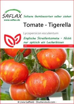 Tomate Tigerella | Tomatensamen Von Saflax