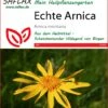 Echte Arnica | Heilpflanzensamen Von Saflax -Samenhaus Geschäft 535650 Echte Arnica 15202 sa 0