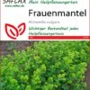 Frauenmantel | Heilpflanzensamen Von Saflax -Samenhaus Geschäft 535653 Frauenmantel 15205 sa 0