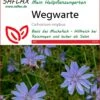 Wegwarte | Heilpflanzensamen Von Saflax 2 Wegwarte | Heilpflanzensamen Von Saflax -Samenhaus Geschäft 535670 Wegwarte 15222 sa 0