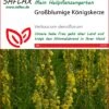 Großblumige Königskerze | Heilpflanzensamen Von Saflax -Samenhaus Geschäft 535671 Grossblumige Koenigskerze 15223 sa 0