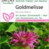 Goldmelisse | Melissensamen Von Saflax -Samenhaus Geschäft 535685 Goldmelisse 17516 sa 0