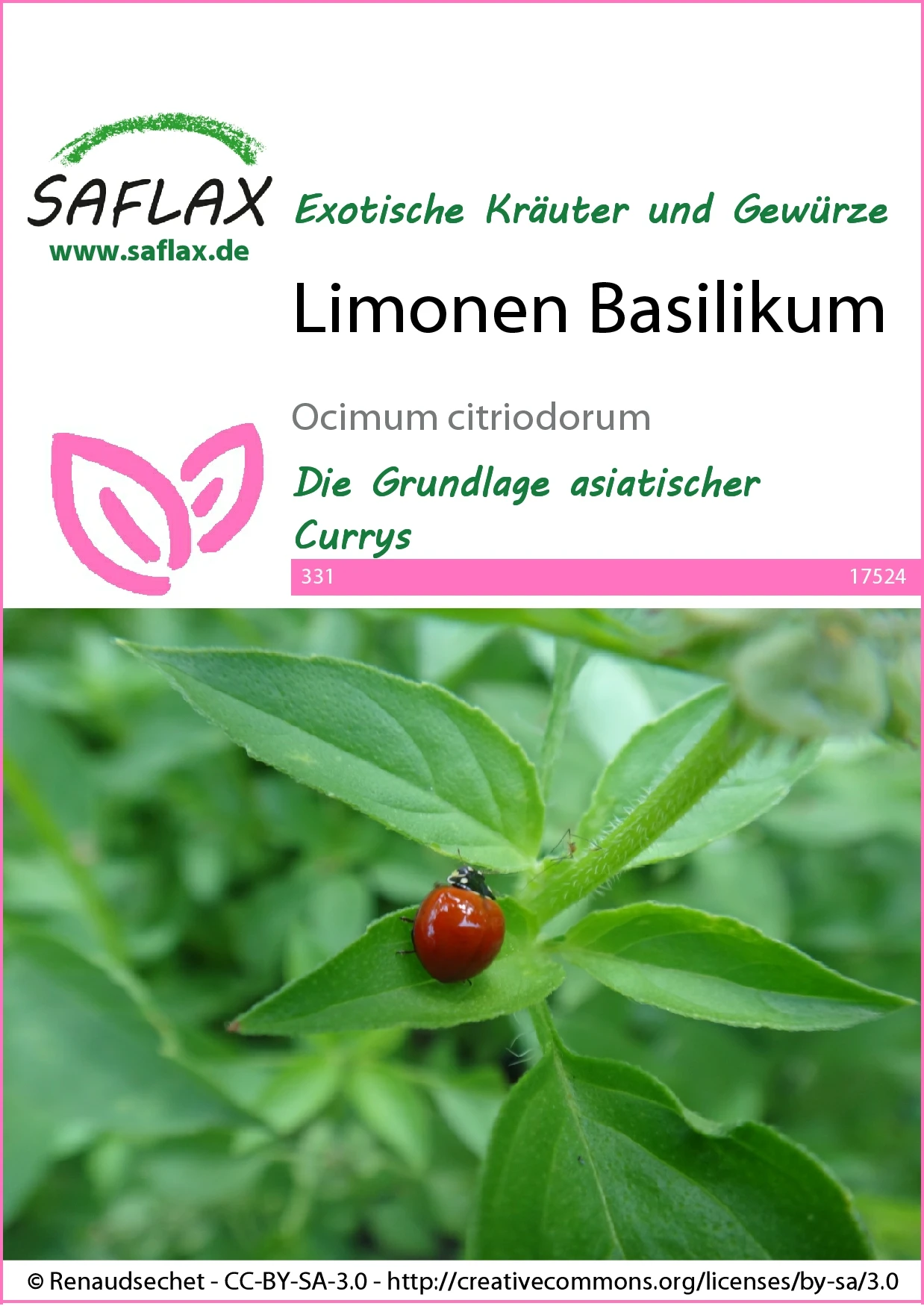 Limonen Basilikum | Basilikumsamen Von Saflax 3 Limonen Basilikum | Basilikumsamen Von Saflax