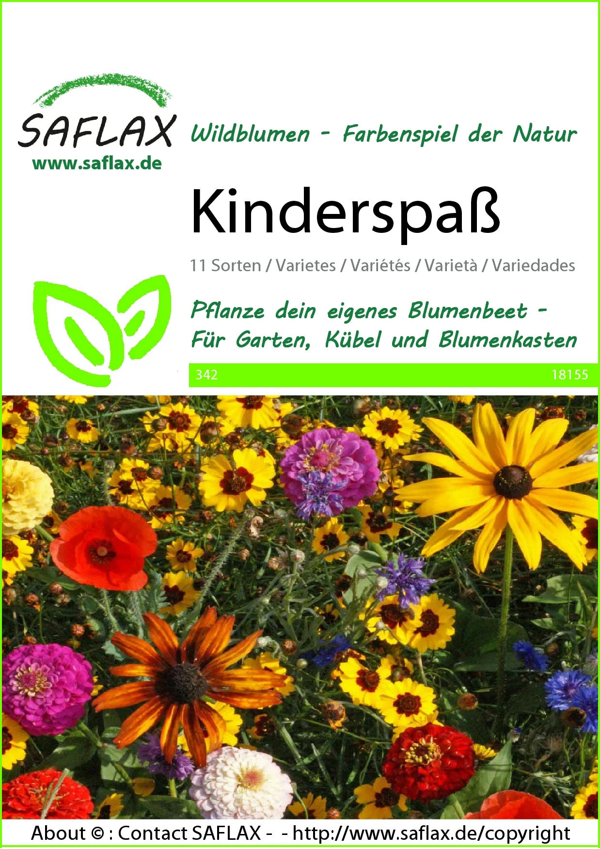 Blumenwiese Kinderspaß | Wildblumenwiese Von Saflax 4 Blumenwiese Kinderspaß | Wildblumenwiese Von Saflax – Bild 2