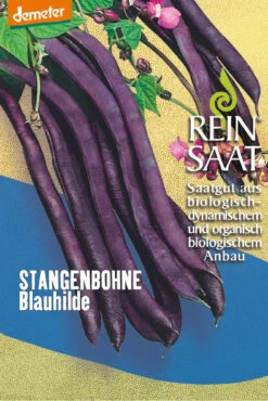 Stangenbohne Blauhilde | BIO Stangenbohnensamen Von Reinsaat