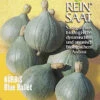 Kürbis Blue Ballet | BIO Kürbissamen Von Reinsaat -Samenhaus Geschäft 535746 BIO Kuerbis Blue Ballet Kue13 rs 0